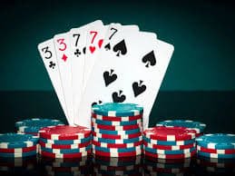 7d casino